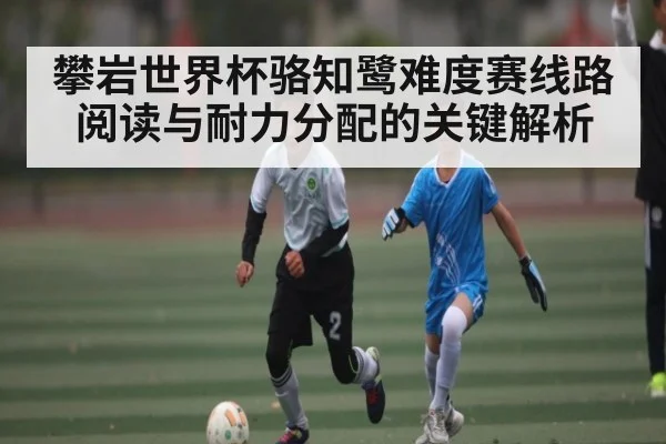攀岩世界杯骆知鹭难度赛线路阅读与耐力分配的关键解析